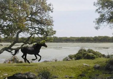 La Peonia Boutique 4* Pirri