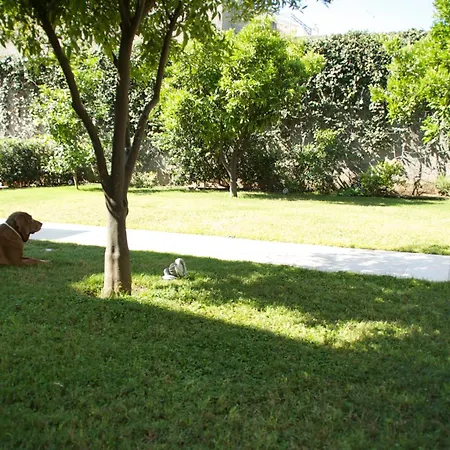 La Peonia Boutique 4* Pirri