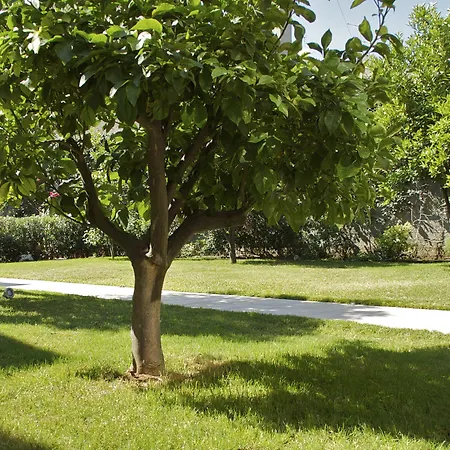 Bed & Breakfast La Peonia Boutique 4*