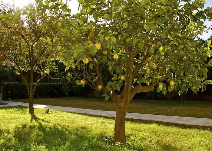 La Peonia Boutique 4* Pirri