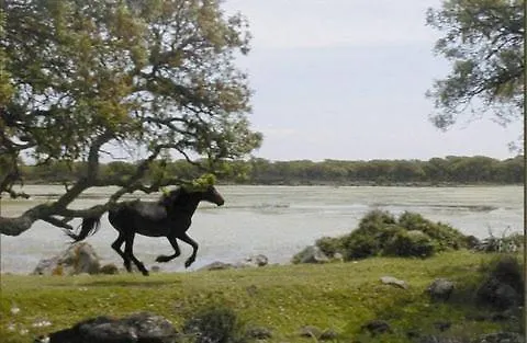 La Peonia Boutique 4* Pirri