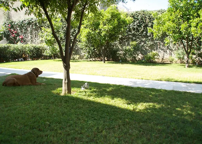 La Peonia Boutique 4* Pirri