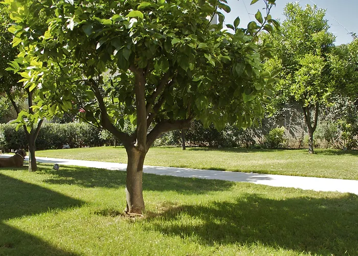 Panzió La Peonia Boutique 4*